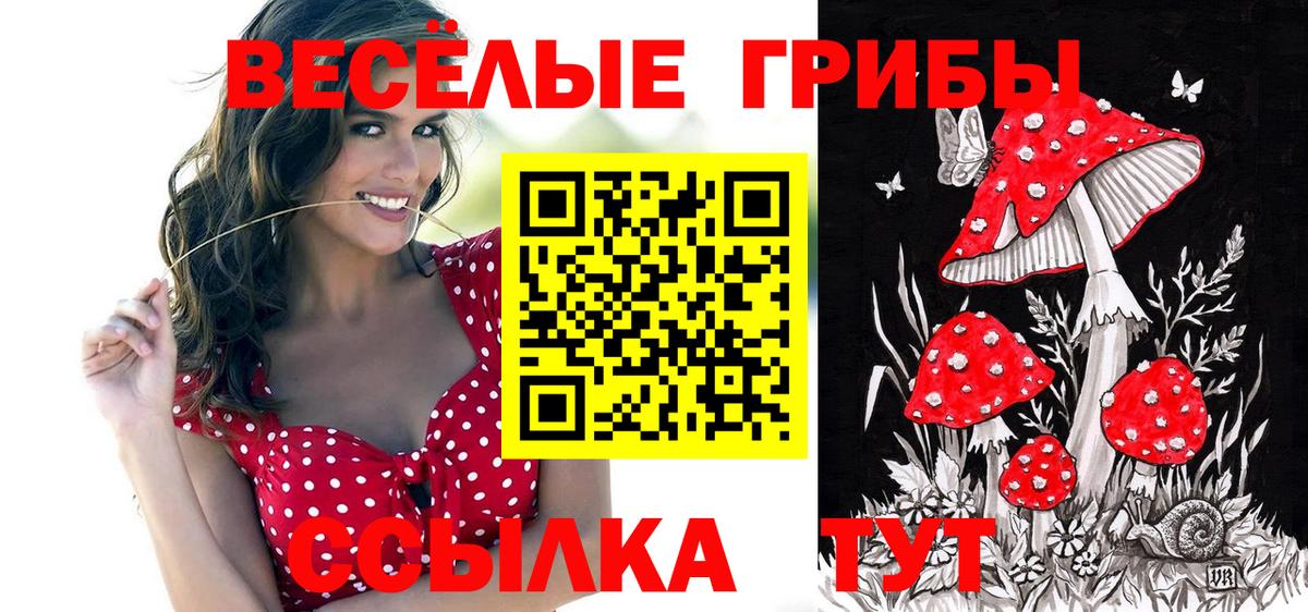 Псилоцибиновые грибы GOLDEN TEACHER Боровичи