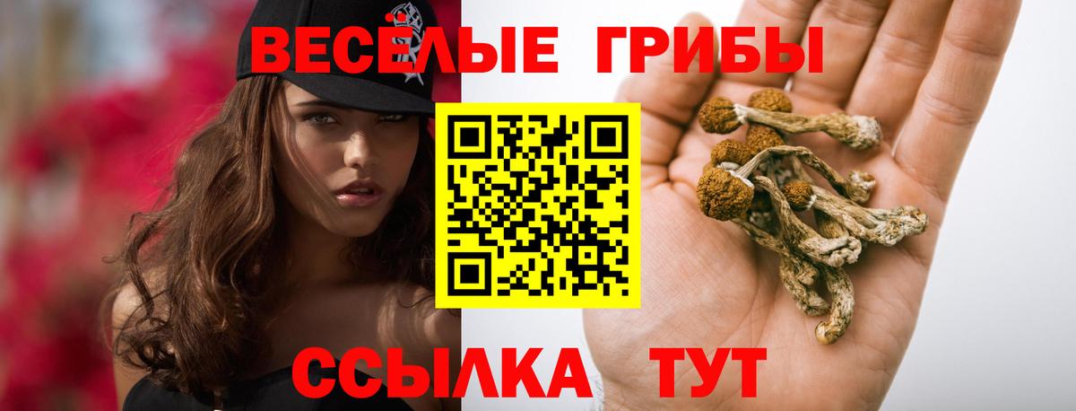 Боровичи  Псилоцибиновые грибы MAGIC MUSHROOMS  Галлюциногенные грибы GOLDEN TEACHER  Вход с VPN 